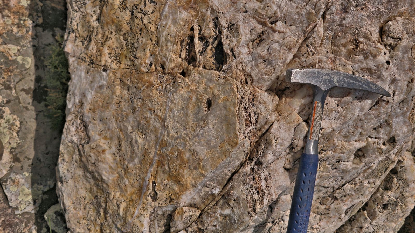 Main vein face, vuggy and ribboned quartz, hammer for scale