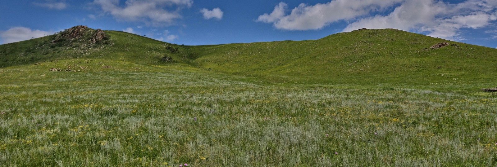 Steppe terrain on reconnaissance traverse